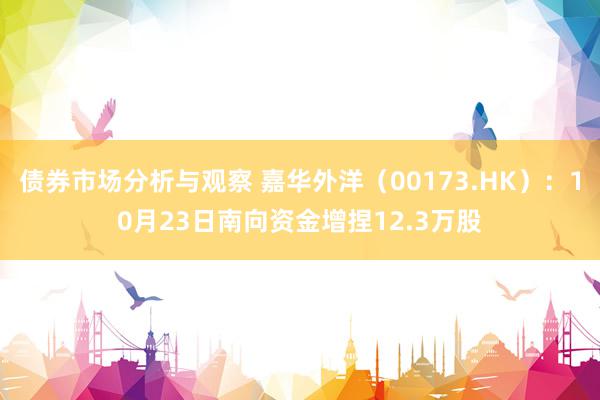 债券市场分析与观察 嘉华外洋（00173.HK）：10月23日南向资金增捏12.3万股