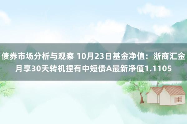 债券市场分析与观察 10月23日基金净值：浙商汇金月享30天转机捏有中短债A最新净值1.1105