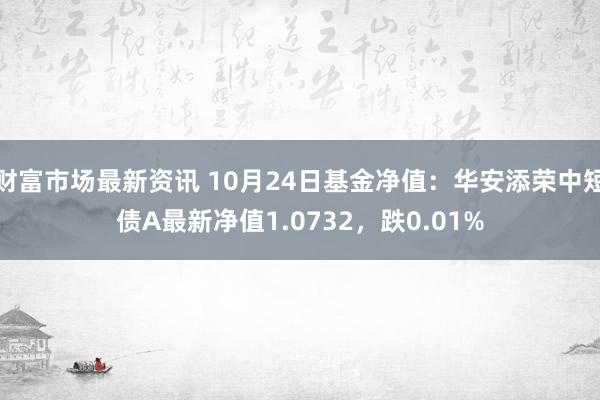 财富市场最新资讯 10月24日基金净值：华安添荣中短债A最新净值1.0732，跌0.01%