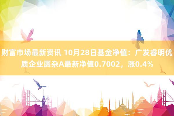 财富市场最新资讯 10月28日基金净值：广发睿明优质企业羼杂A最新净值0.7002，涨0.4%