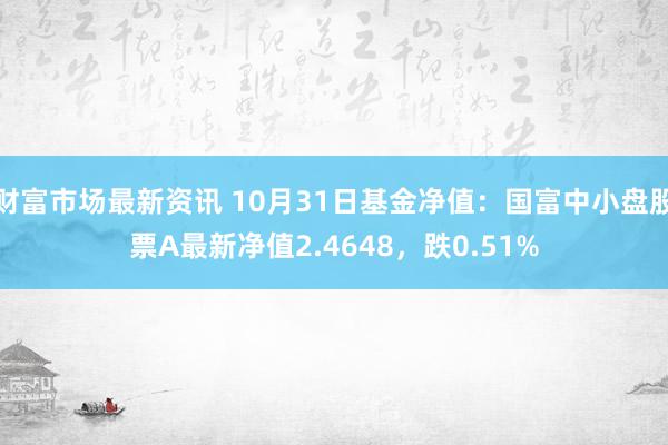 财富市场最新资讯 10月31日基金净值：国富中小盘股票A最新净值2.4648，跌0.51%