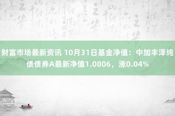 财富市场最新资讯 10月31日基金净值：中加丰泽纯债债券A最新净值1.0806，涨0.04%