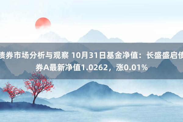 债券市场分析与观察 10月31日基金净值：长盛盛启债券A最新净值1.0262，涨0.01%