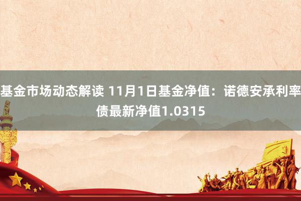 基金市场动态解读 11月1日基金净值：诺德安承利率债最新净值1.0315