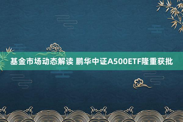 基金市场动态解读 鹏华中证A500ETF隆重获批