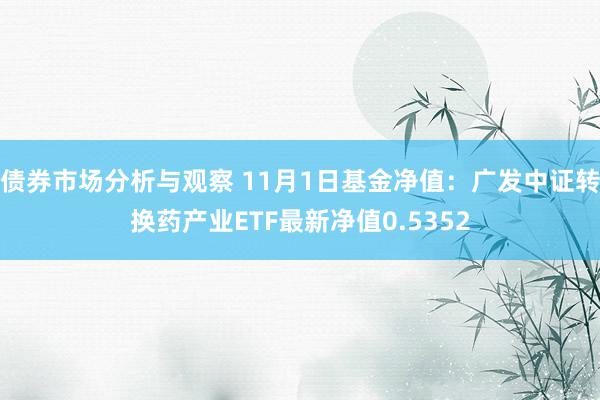 债券市场分析与观察 11月1日基金净值：广发中证转换药产业ETF最新净值0.5352