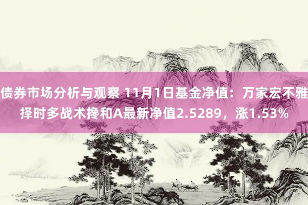 债券市场分析与观察 11月1日基金净值：万家宏不雅择时多战术搀和A最新净值2.5289，涨1.53%