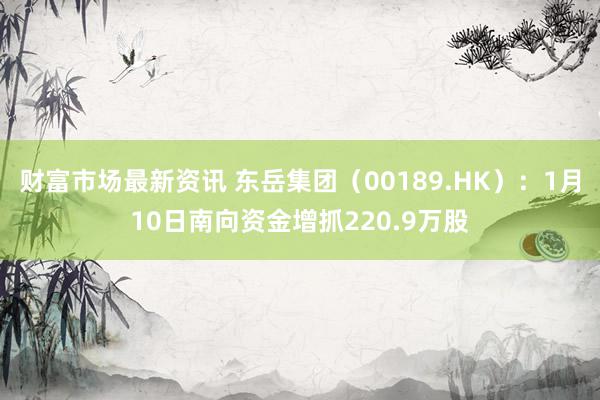 财富市场最新资讯 东岳集团（00189.HK）：1月10日南向资金增抓220.9万股