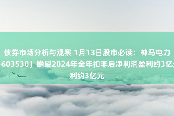 债券市场分析与观察 1月13日股市必读：神马电力（603530）瞻望2024年全年扣非后净利润盈利约3亿元