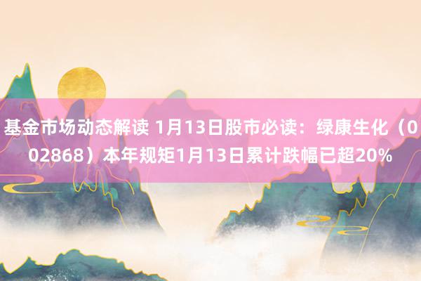 基金市场动态解读 1月13日股市必读：绿康生化（002868）本年规矩1月13日累计跌幅已超20%