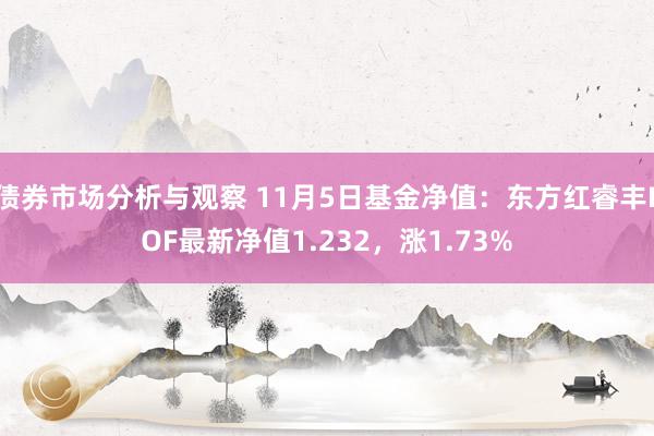 债券市场分析与观察 11月5日基金净值：东方红睿丰LOF最新净值1.232，涨1.73%