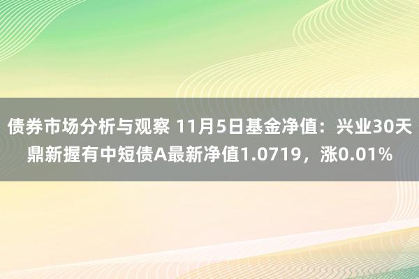 债券市场分析与观察 11月5日基金净值：兴业30天鼎新握有中短债A最新净值1.0719，涨0.01%