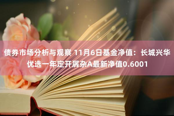 债券市场分析与观察 11月6日基金净值：长城兴华优选一年定开羼杂A最新净值0.6001