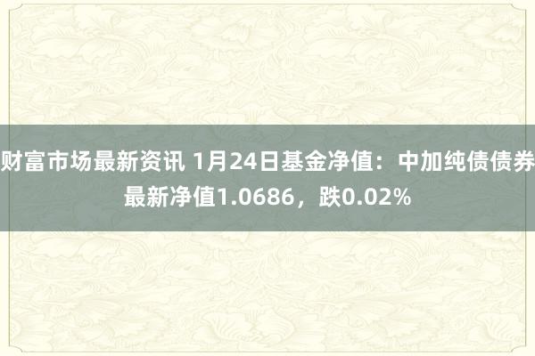 财富市场最新资讯 1月24日基金净值：中加纯债债券最新净值1.0686，跌0.02%