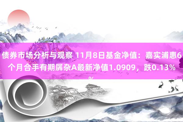 债券市场分析与观察 11月8日基金净值：嘉实浦惠6个月合手有期羼杂A最新净值1.0909，跌0.13%