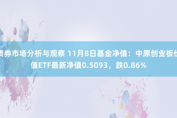 债券市场分析与观察 11月8日基金净值：中原创业板价值ETF最新净值0.5093，跌0.86%