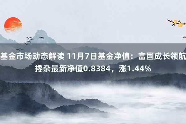 基金市场动态解读 11月7日基金净值：富国成长领航搀杂最新净值0.8384，涨1.44%