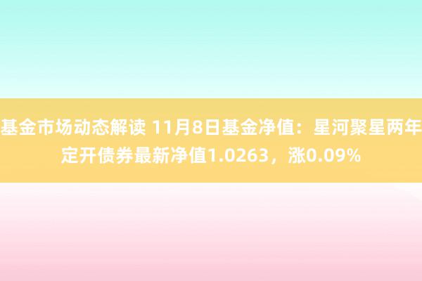 基金市场动态解读 11月8日基金净值：星河聚星两年定开债券最新净值1.0263，涨0.09%