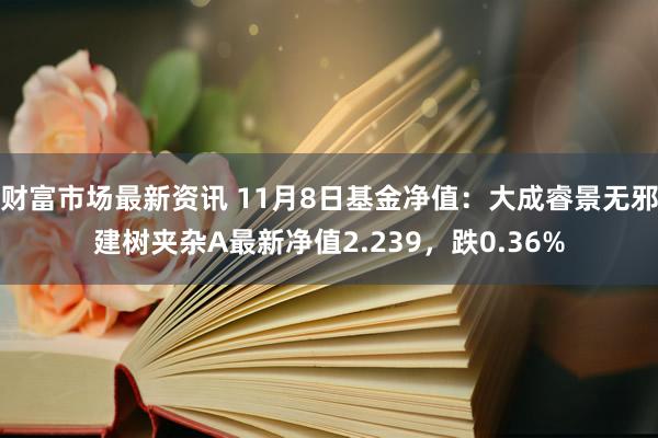 财富市场最新资讯 11月8日基金净值：大成睿景无邪建树夹杂A最新净值2.239，跌0.36%