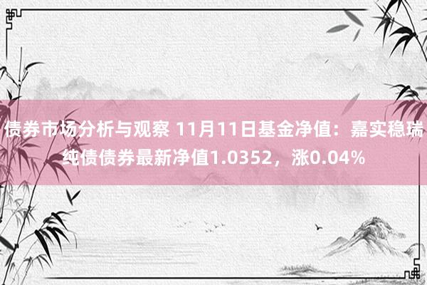 债券市场分析与观察 11月11日基金净值：嘉实稳瑞纯债债券最新净值1.0352，涨0.04%