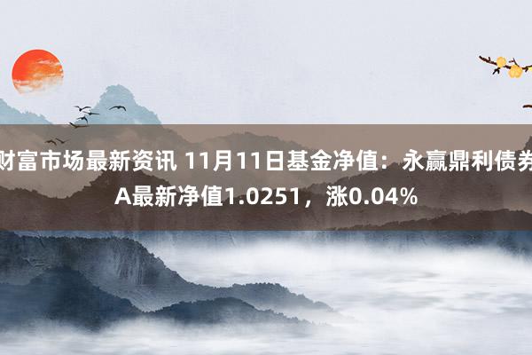 财富市场最新资讯 11月11日基金净值：永赢鼎利债券A最新净值1.0251，涨0.04%