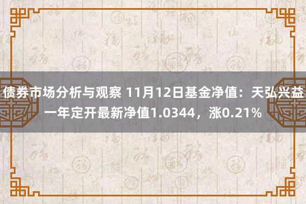 债券市场分析与观察 11月12日基金净值：天弘兴益一年定开最新净值1.0344，涨0.21%