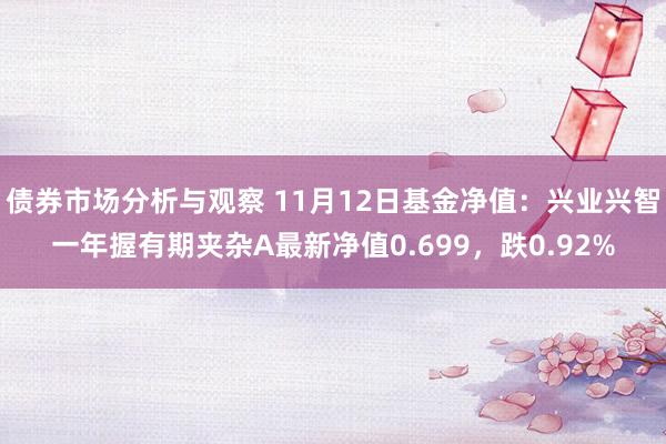 债券市场分析与观察 11月12日基金净值：兴业兴智一年握有期夹杂A最新净值0.699，跌0.92%