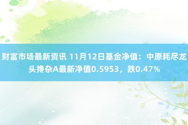 财富市场最新资讯 11月12日基金净值：中原耗尽龙头搀杂A最新净值0.5953，跌0.47%