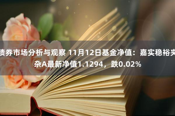 债券市场分析与观察 11月12日基金净值：嘉实稳裕夹杂A最新净值1.1294，跌0.02%