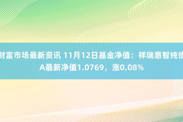 财富市场最新资讯 11月12日基金净值：祥瑞惠智纯债A最新净值1.0769，涨0.08%