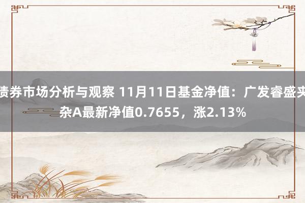 债券市场分析与观察 11月11日基金净值：广发睿盛夹杂A最新净值0.7655，涨2.13%