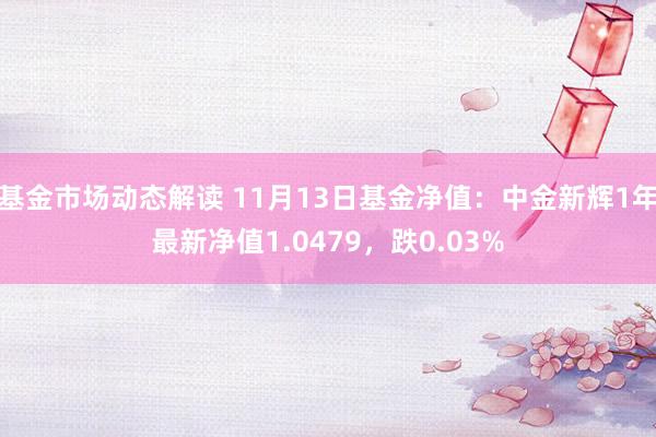 基金市场动态解读 11月13日基金净值：中金新辉1年最新净值1.0479，跌0.03%