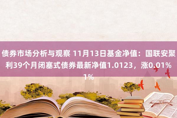 债券市场分析与观察 11月13日基金净值：国联安聚利39个月闭塞式债券最新净值1.0123，涨0.01%