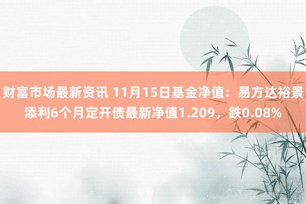 财富市场最新资讯 11月15日基金净值：易方达裕景添利6个月定开债最新净值1.209，跌0.08%