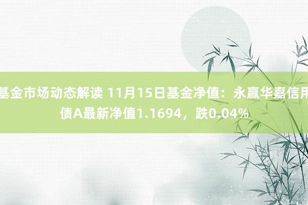 基金市场动态解读 11月15日基金净值：永赢华嘉信用债A最新净值1.1694，跌0.04%