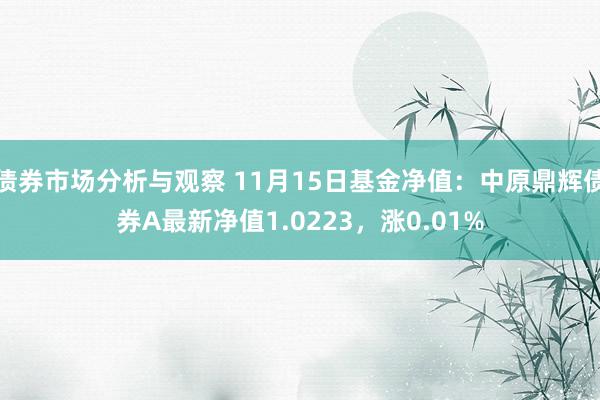 债券市场分析与观察 11月15日基金净值：中原鼎辉债券A最新净值1.0223，涨0.01%