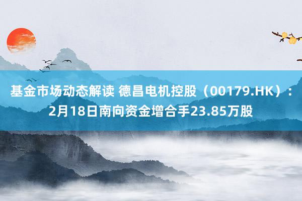 基金市场动态解读 德昌电机控股（00179.HK）：2月18日南向资金增合手23.85万股