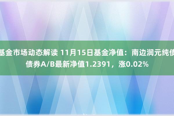 基金市场动态解读 11月15日基金净值：南边润元纯债债券A/B最新净值1.2391，涨0.02%