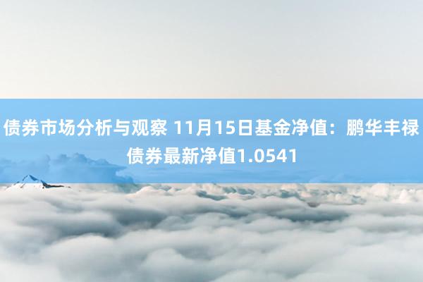 债券市场分析与观察 11月15日基金净值：鹏华丰禄债券最新净值1.0541