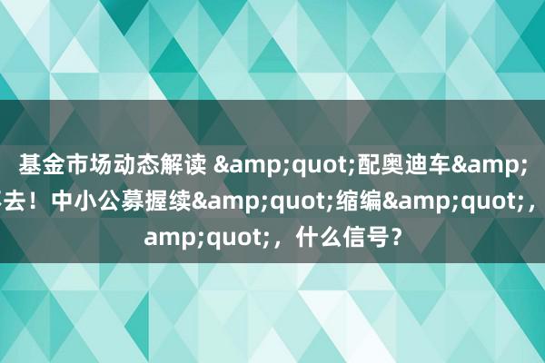 基金市场动态解读 &quot;配奥迪车&quot;皆不去！中小公募握续&quot;缩编&quot;，什么信号？