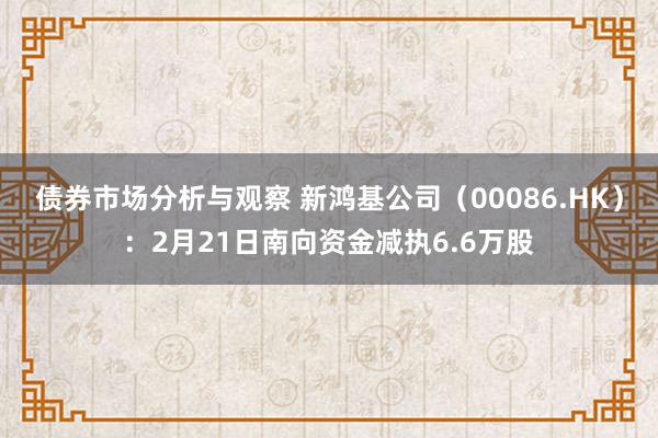 债券市场分析与观察 新鸿基公司（00086.HK）：2月21日南向资金减执6.6万股