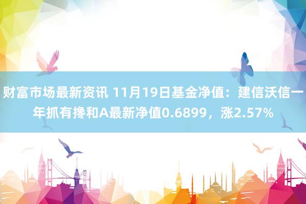 财富市场最新资讯 11月19日基金净值：建信沃信一年抓有搀和A最新净值0.6899，涨2.57%