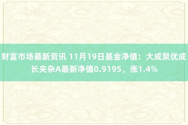 财富市场最新资讯 11月19日基金净值：大成聚优成长夹杂A最新净值0.9195，涨1.4%