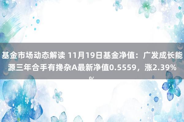 基金市场动态解读 11月19日基金净值：广发成长能源三年合手有搀杂A最新净值0.5559，涨2.39%