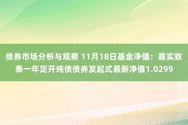 债券市场分析与观察 11月18日基金净值：嘉实致泰一年定开纯债债券发起式最新净值1.0299