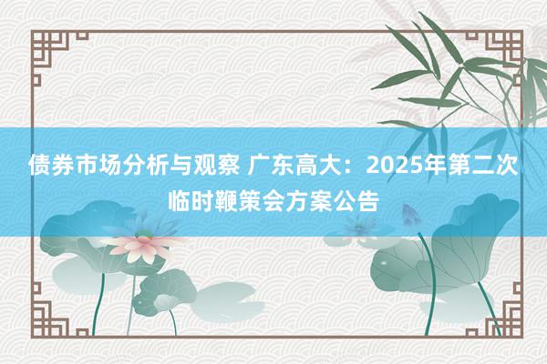 债券市场分析与观察 广东高大：2025年第二次临时鞭策会方案公告