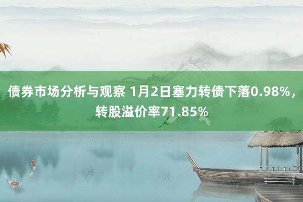 债券市场分析与观察 1月2日塞力转债下落0.98%，转股溢价率71.85%