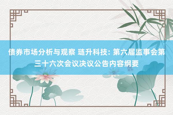 债券市场分析与观察 琏升科技: 第六届监事会第三十六次会议决议公告内容纲要