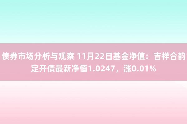 债券市场分析与观察 11月22日基金净值：吉祥合韵定开债最新净值1.0247，涨0.01%