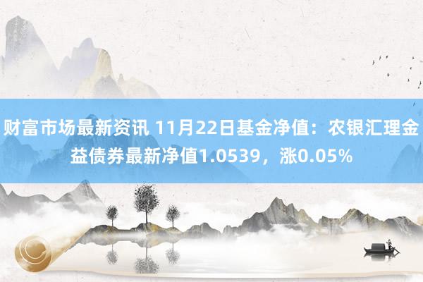 财富市场最新资讯 11月22日基金净值：农银汇理金益债券最新净值1.0539，涨0.05%